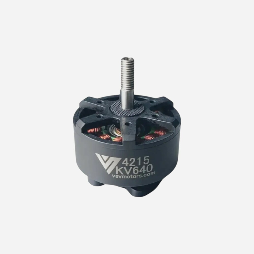 Electric motor VSV 4215